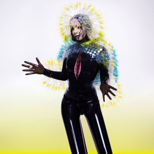 bjork_vulnicura_facebook reproducao